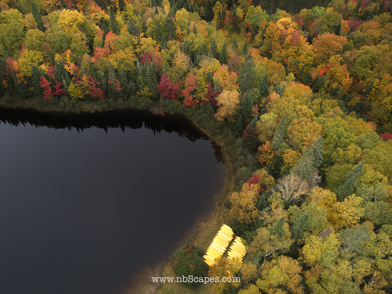 Quebec Fall Aerial View