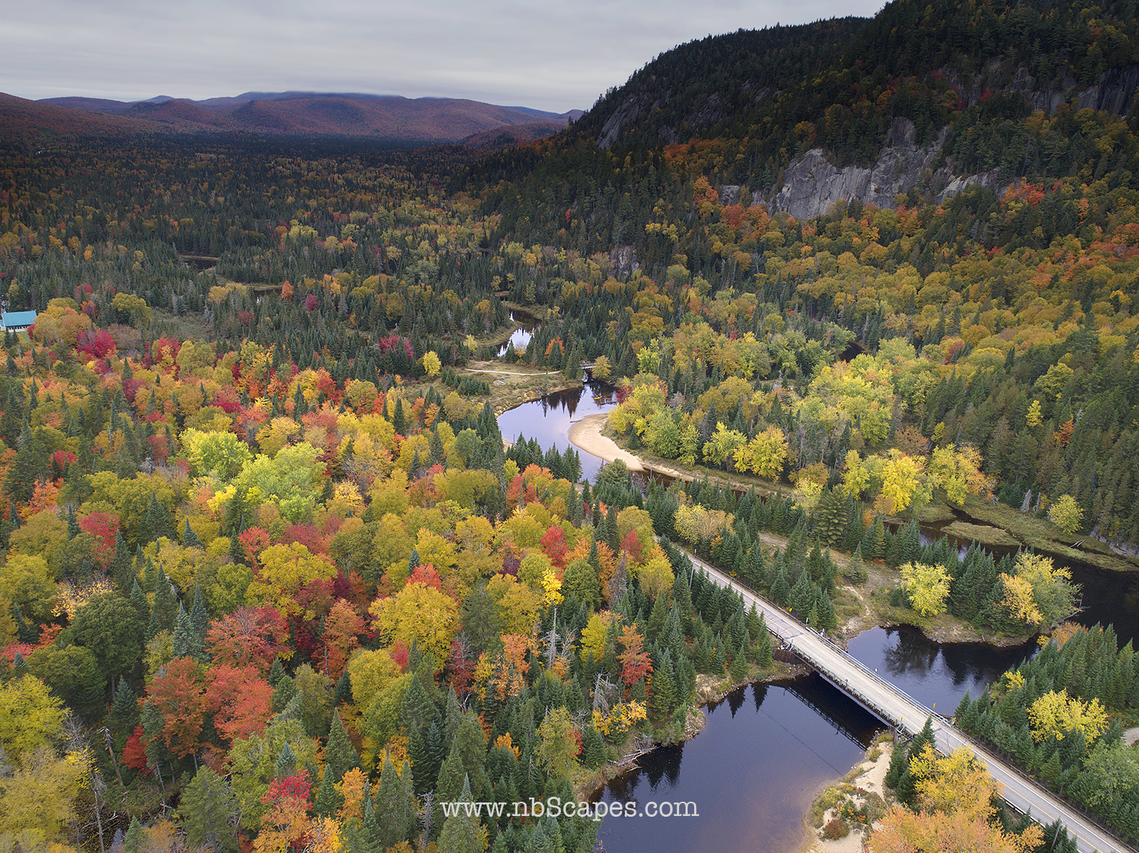 Bridge in Fall Colours