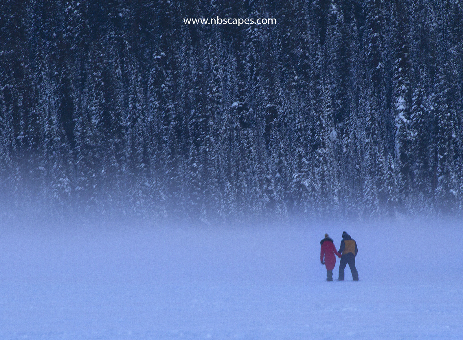 Landscape_Canadian Rockies_Winter_Couples